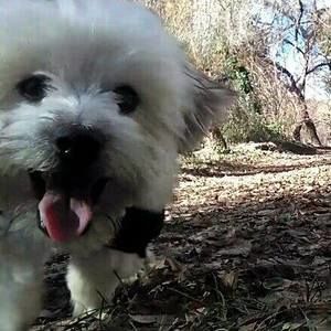 Meet your Posher, Jillian